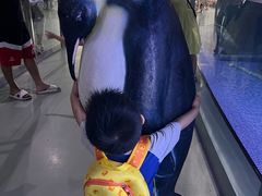 -福州罗源湾海洋世界旅游区