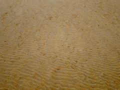 -普陀山风景名胜区-千步大沙