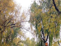 -长春市南湖公园