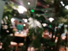 -春润大地海南椰子鸡(沙井京基百纳广场店)