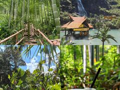 -阿露佳·舌尖上的安吉菜