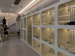 -comecome来吧宠物(奥克斯中心店)