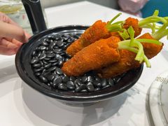 -丁老爷子苏香圆