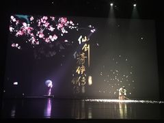-合肥大剧院