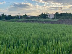-龚家花园农家乐休闲别墅