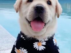 -任我游电竞(朝外店)