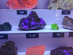 -湖南省地质博物馆