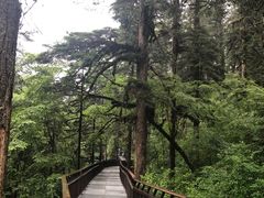 -海螺沟风景区
