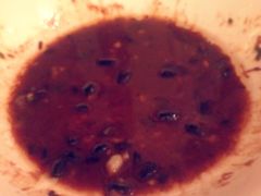 -香宫中餐厅 · 桂林香格里拉