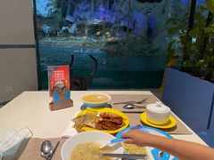 -帝企鹅自助餐厅•儿童岛•真企鹅(长隆企鹅酒店)