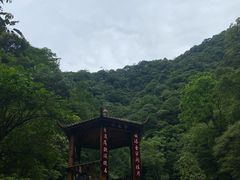 -西岭雪山大飞水景区