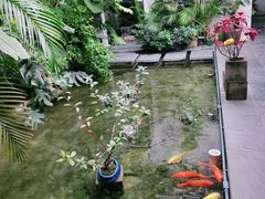 -漫笙舍Manse·咖啡·民宿