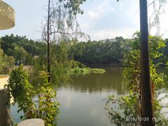 -人民公园(罗湖区)