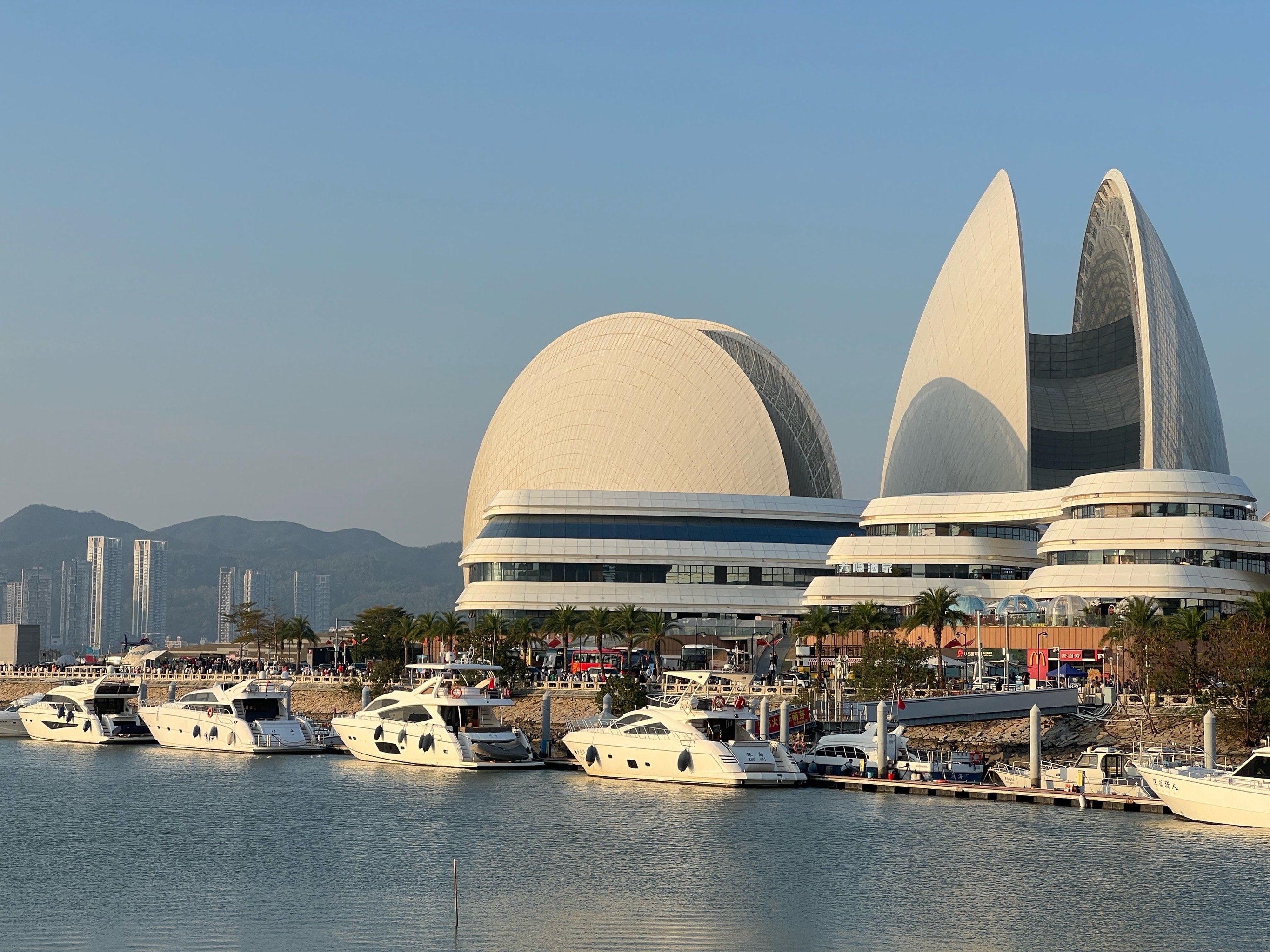 终于看到珠海大扇贝了