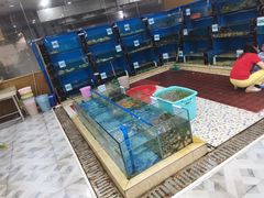 水产区-君港海鲜(三亚湾店)