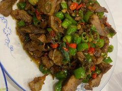 -新新湘菜馆(新中街二条店)