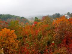 -塔川景区