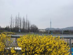 -汇泉广场