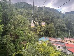 -黔灵山公园