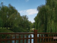 -上海滨江森林公园