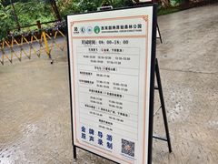 -西双版纳原始森林公园