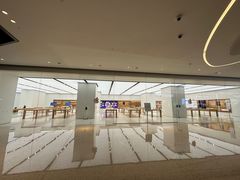 -Apple零售店(珠江新城店)