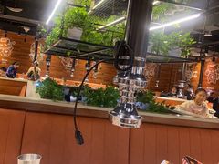 -猫爪爪原切自助烤肉(观音桥阳光世纪店)