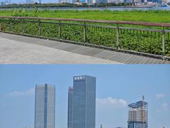 -橘子洲景区