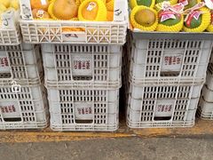 -重振华中蔬菜批发市场(重庆中路店)