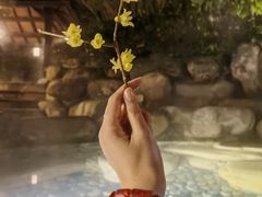 -天目湖涵田半山温泉