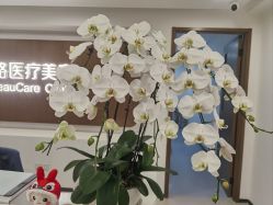 -丰联丽格医疗美容·联合丽格眼整形中心