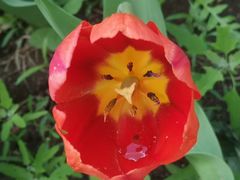 -长春公园(普阳街道)