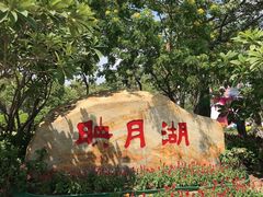 -映月湖公园