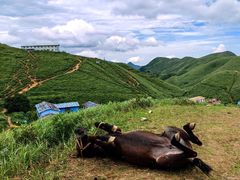 -萍乡武功山风景名胜区