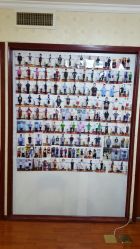 -维纳斯专业减肥