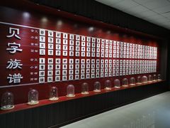 -青岛贝壳博物馆