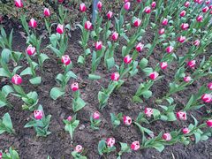 -上海对外经贸大学(古北校区)