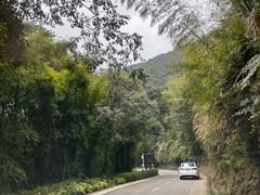 -广州市石门国家森林公园