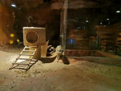 -酷嗒动物文化乐园(cutezoo西溪乐天城店)