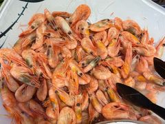 -好伦哥披萨(地坛店)