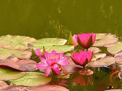 -国家植物园南园