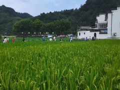 -绩溪龙川景区
