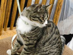 -华联超市(定边路店)