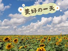 -希拉穆仁草原