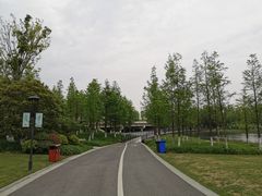-桐乡凤凰湖