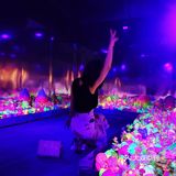 粉色棉花糖的世界