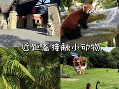 -阿露佳·舌尖上的安吉菜