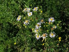 -白草畔自然风景区