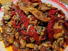 -柴窝堡22号辣子鸡·传承新疆菜