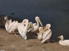 -沈阳森林动物园